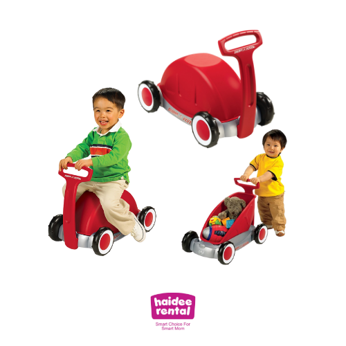 RADIO FLYER 2 IN 1 PUSH AND SIT